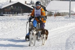 Lenk 2012 SM